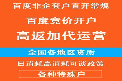 百度SEO推广公司案例精选：揭秘优化策略